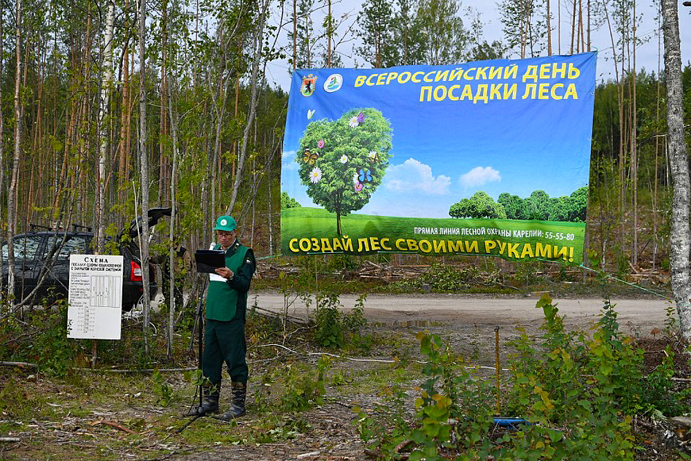 В рамках какого национального проекта реализуется всероссийская акция сохраним лес