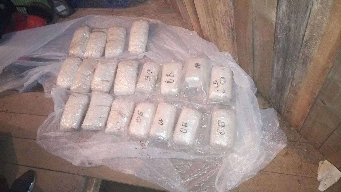 Более 40 кг наркотиков нашла собака Зара за время службы на Карельской таможне