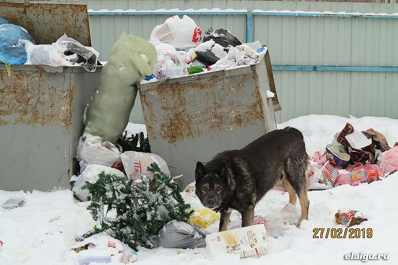 Эх раз мусору